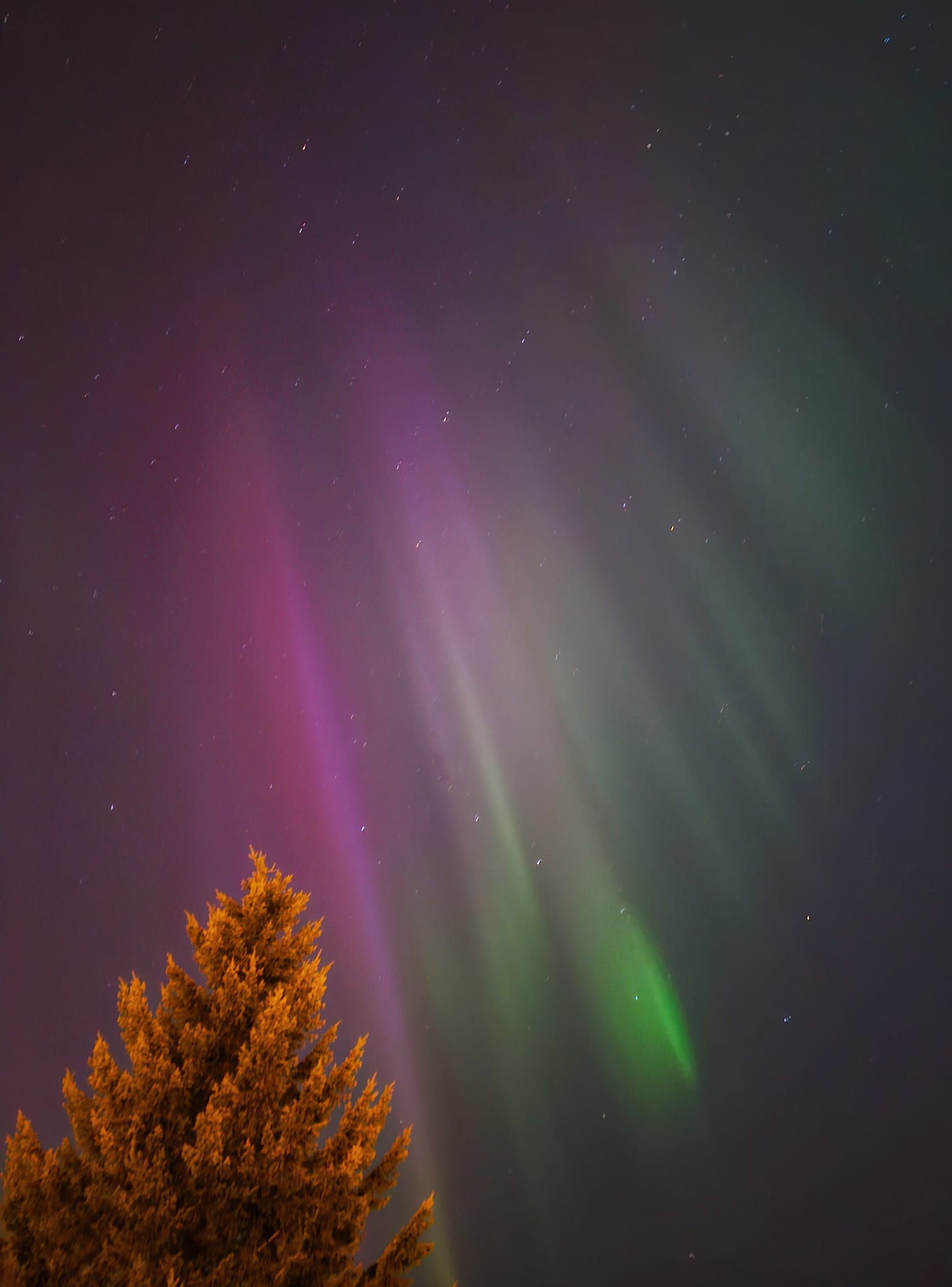 iN PHOTOS: Northern lights, streaking meteors dazzle night skies above Kamloops, Okanagan | iNFOnews.ca