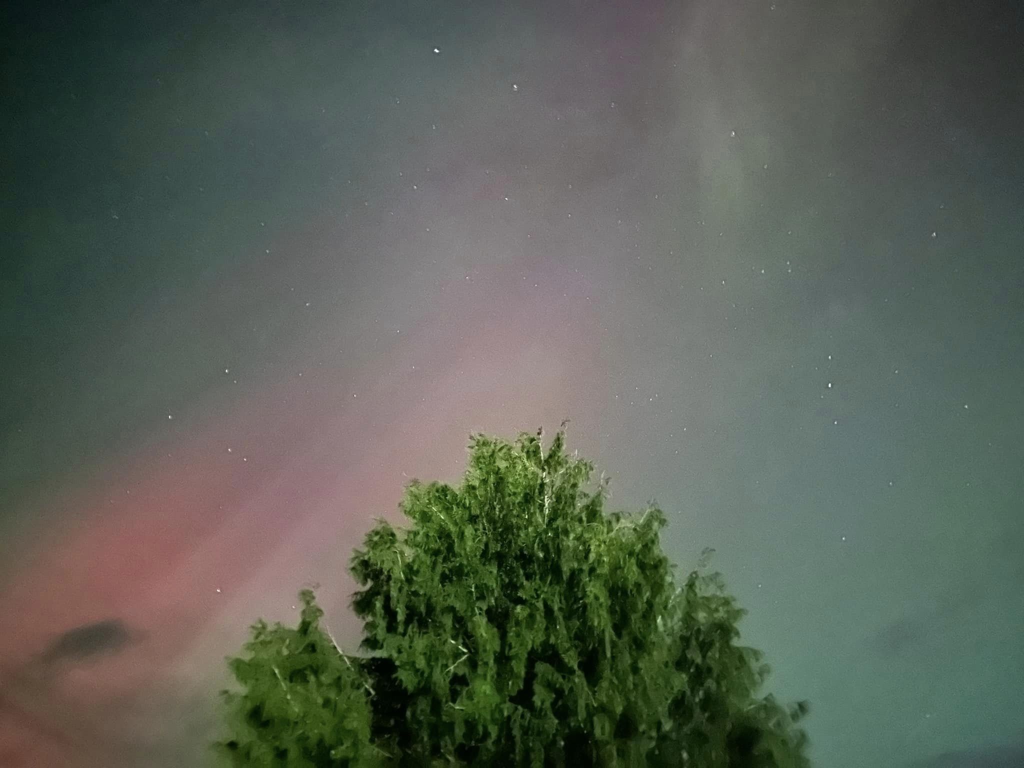 iN PHOTOS: Northern lights, streaking meteors dazzle night skies above Kamloops, Okanagan | iNFOnews.ca