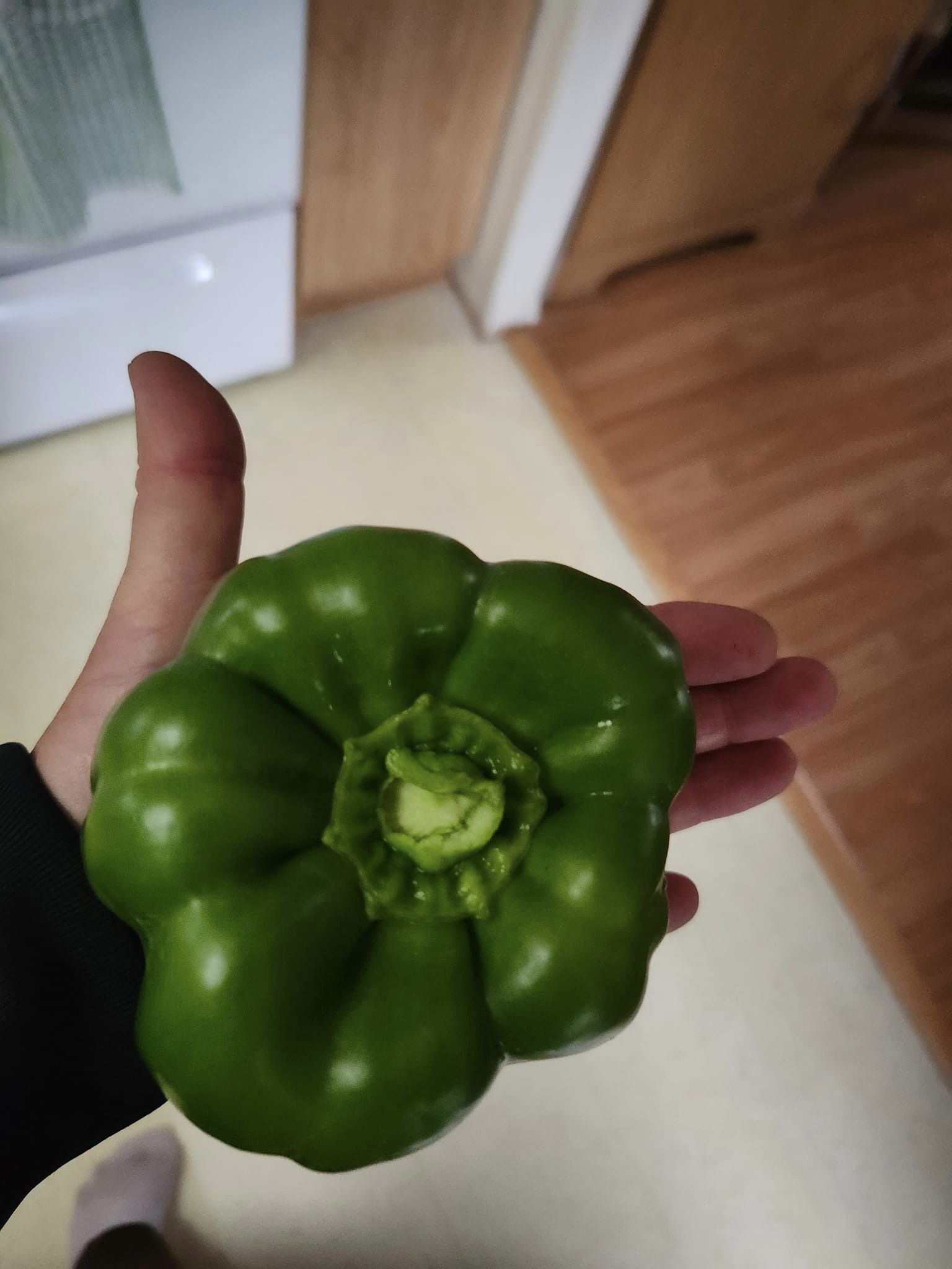 iN PHOTOS: Supersized vegetables crop up in Kamloops, Okanagan gardens | iNFOnews.ca