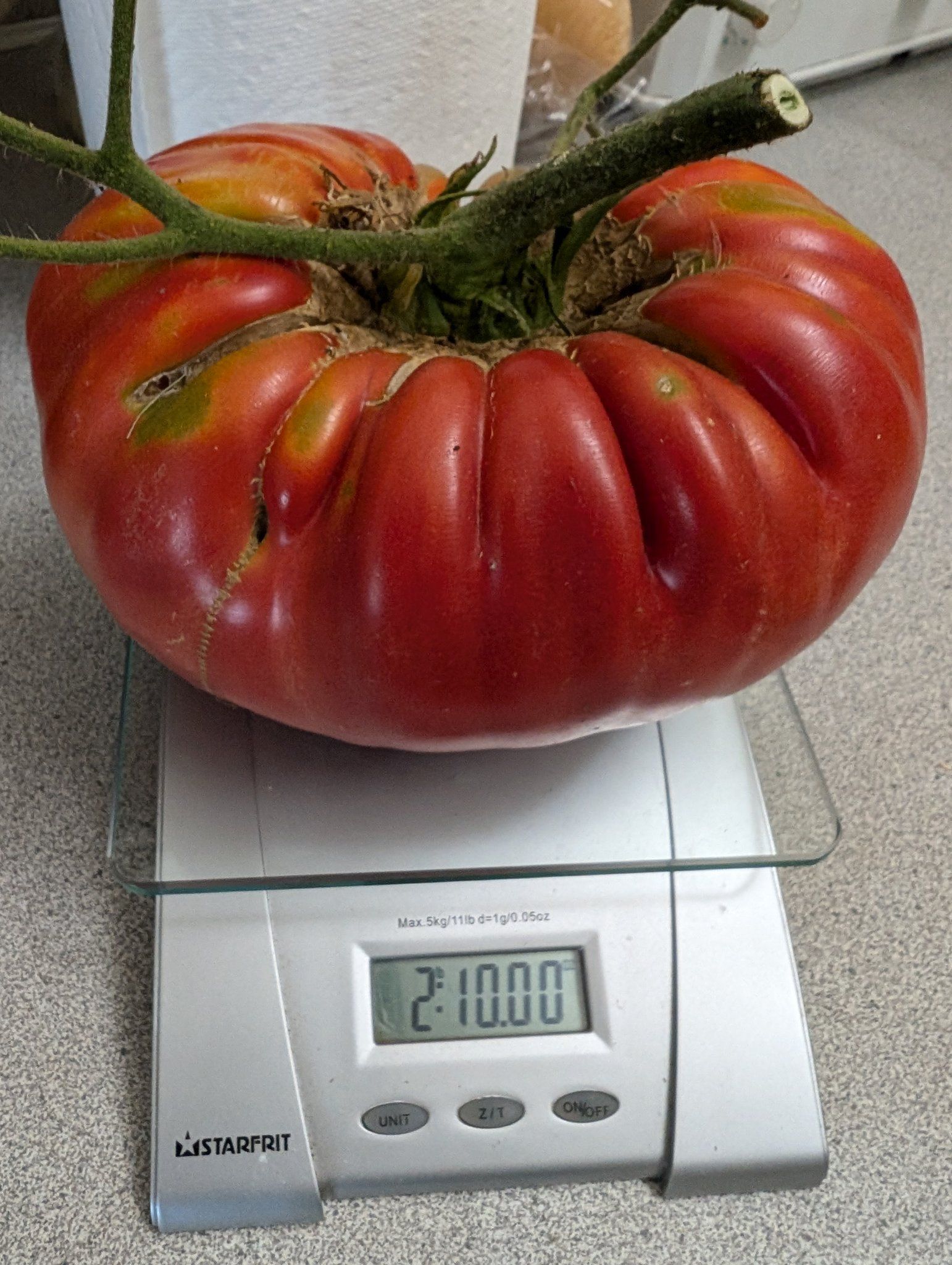 iN PHOTOS: Supersized vegetables crop up in Kamloops, Okanagan gardens | iNFOnews.ca