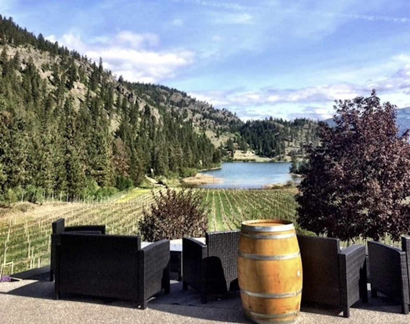 Nighthawk Vineyards is bringing 'Holiday Cheer' to the vineyard - Bavarian Style | iNFOnews.ca Nighthawk Vineyards is bringing 'Holiday Cheer' to the vineyard - Bavarian Style | iNFOnews.ca