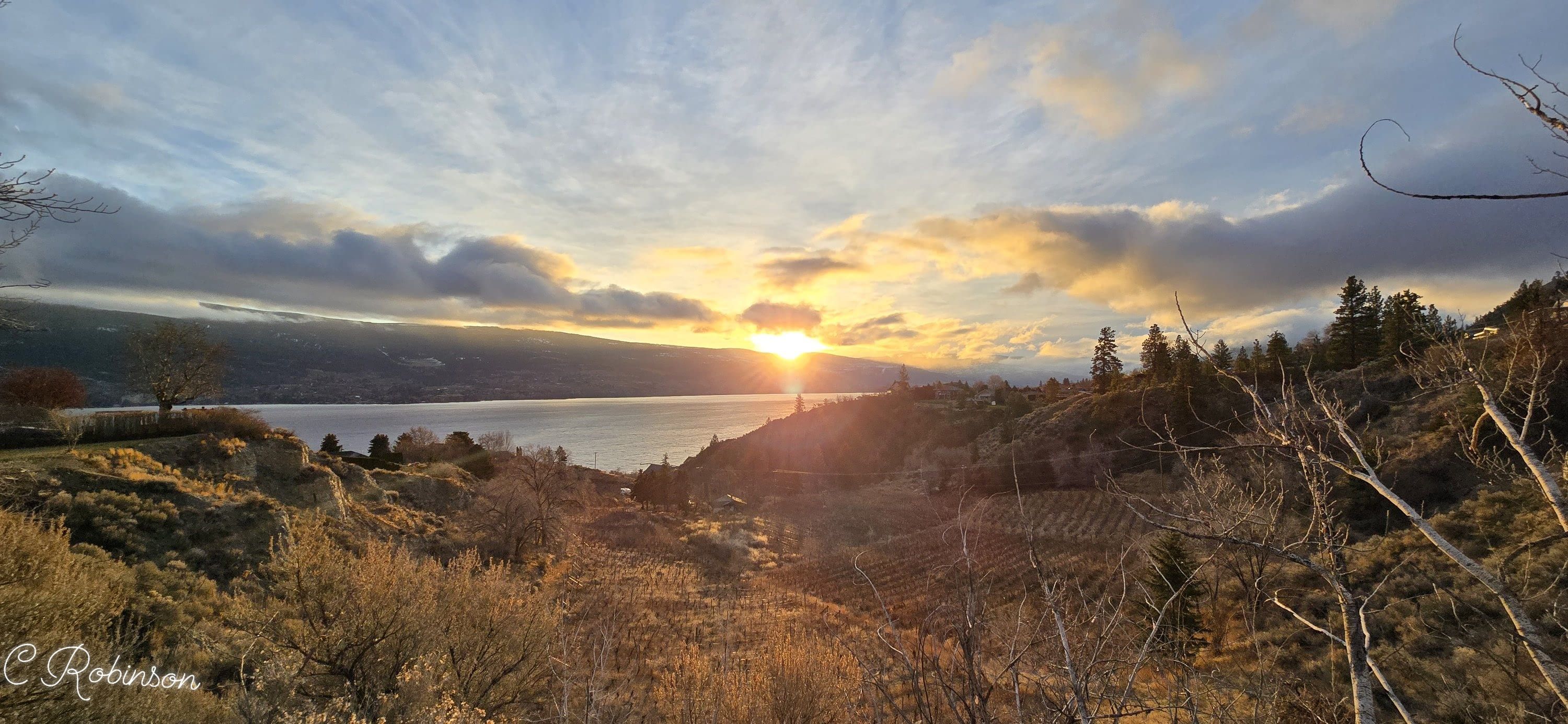 iN PHOTOS: Brown Christmas not unusual in Kamloops, Okanagan | iNFOnews.ca
