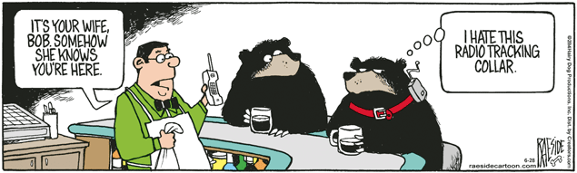 RAESIDE CARTOON | iNFOnews.ca