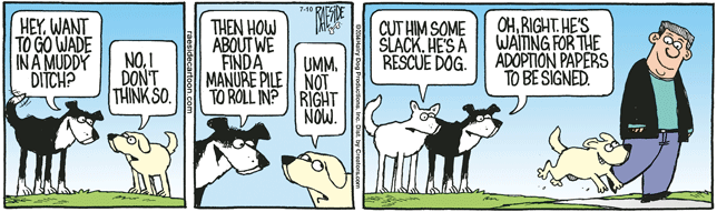 THE OTHER COAST | iNFOnews.ca