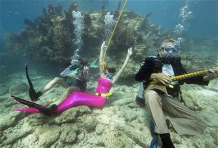 Divers, snorkelers converge for undersea 'concert' | iNFOnews.ca