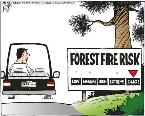 RAESIDE CARTOON | iNFOnews.ca