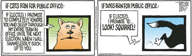 RAESIDE CARTOON | iNFOnews.ca