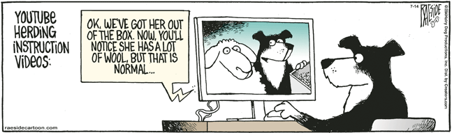 RAESIDE CARTOON | iNFOnews.ca