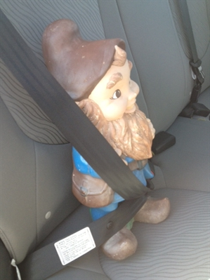 Oh gnome! | iNFOnews.ca