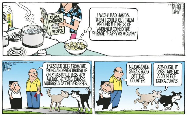 RAESIDE CARTOON | iNFOnews.ca