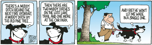 RAESIDE CARTOON | iNFOnews.ca