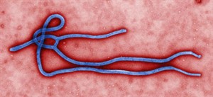Samaritan's Purse says B.C. doctor not in quarantine after Ebola aid trip | iNFOnews.ca