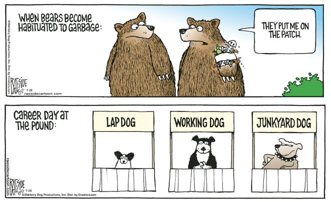 RAESIDE CARTOON | iNFOnews.ca