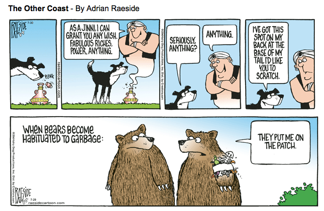 RAESIDE CARTOON | iNFOnews.ca