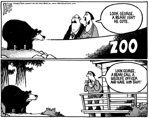 RAESIDE CARTOON | iNFOnews.ca