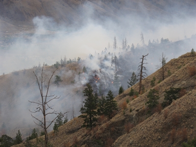 B.C.'s tense 2013 wildfire season ends with more fires tallied, less timber lost | iNFOnews.ca