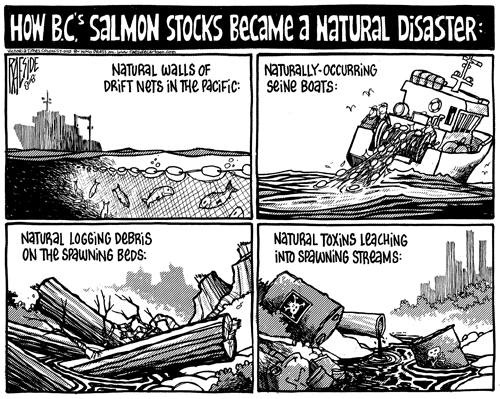 RAESIDE CARTOON | iNFOnews.ca