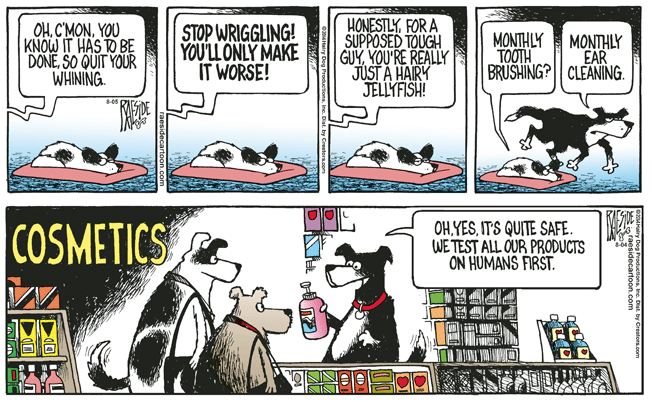 RAESIDE CARTOON | iNFOnews.ca RAESIDE CARTOON | iNFOnews.ca