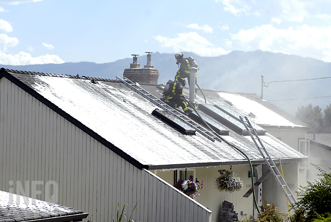Strangers save cat and dog trapped in burning house | iNFOnews.ca Strangers save cat and dog trapped in burning house | iNFOnews.ca