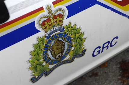 Man arrested for brandishing handgun, threatening to kill self | iNFOnews.ca