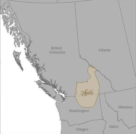 First Nations alliance launches court challenge of B.C. Treaty process | iNFOnews.ca