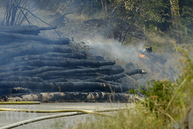 Brush fire ignites in Ellison | iNFOnews.ca