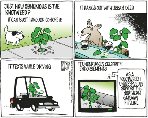 RAESIDE CARTOON | iNFOnews.ca