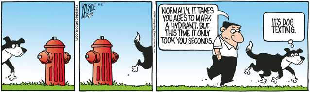 RAESIDE CARTOON | iNFOnews.ca