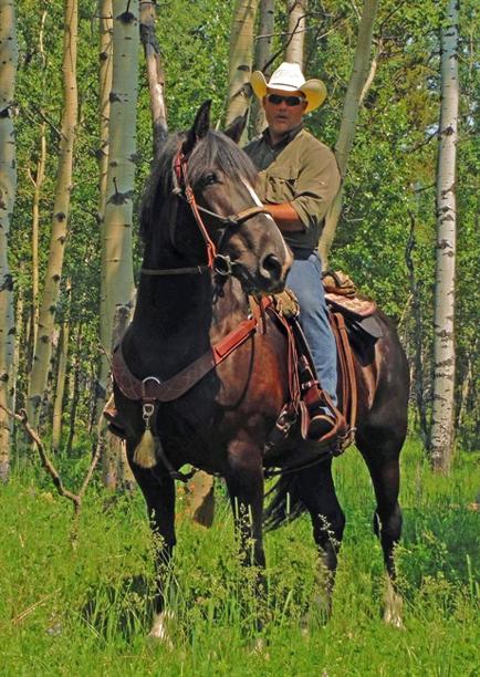 Military vets coping with post-traumatic stress find solace in back-to-nature programs | iNFOnews.ca Military vets coping with post-traumatic stress find solace in back-to-nature programs | iNFOnews.ca