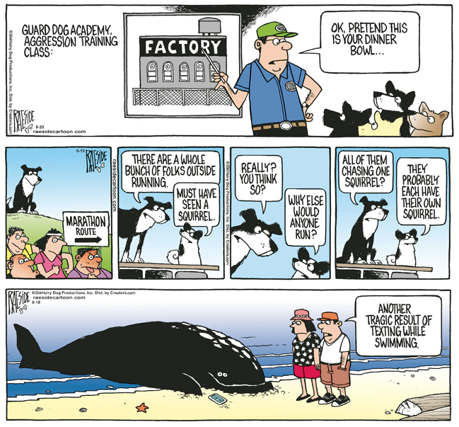 RAESIDE CARTOON | iNFOnews.ca