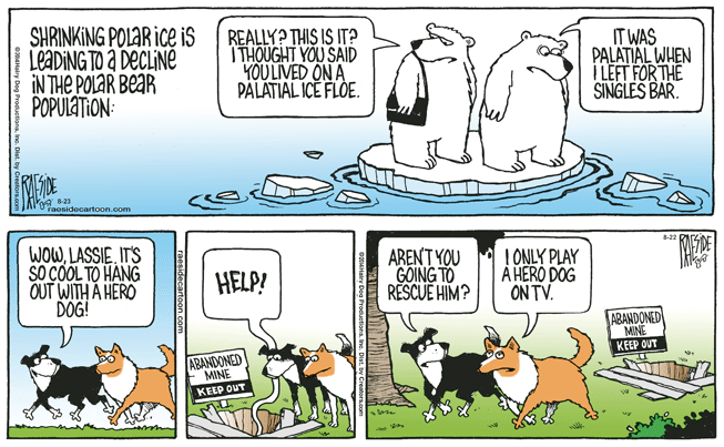 RAESIDE CARTOON | iNFOnews.ca