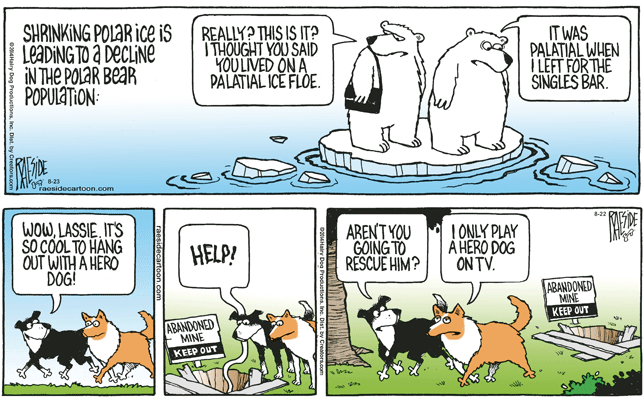 RAESIDE CARTOON | iNFOnews.ca