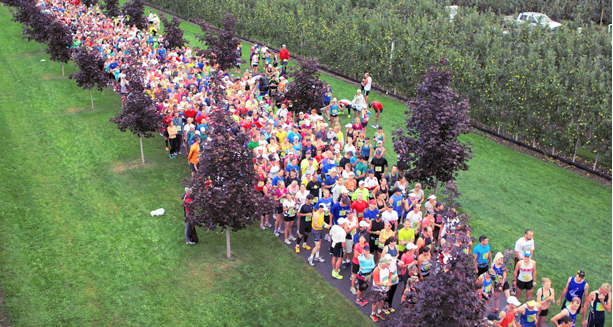 How to get around the Wine Country Half Marathon | iNFOnews.ca