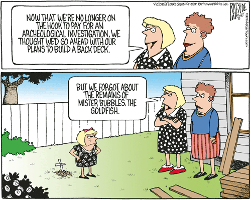 RAESIDE CARTOON | iNFOnews.ca