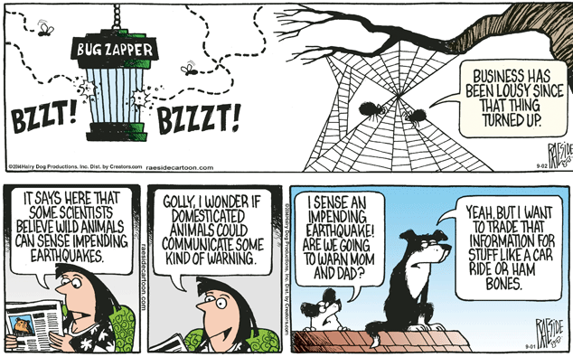 RAESIDE CARTOON | iNFOnews.ca