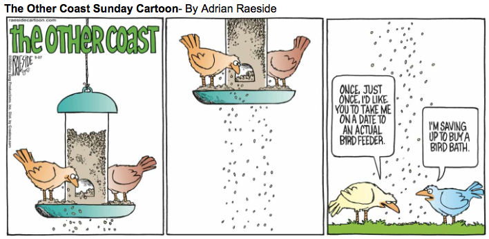 RAESIDE CARTOON | iNFOnews.ca