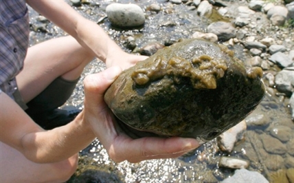 Rock snot? What rock snot? Interview request sets off government public relations scramble | iNFOnews.ca