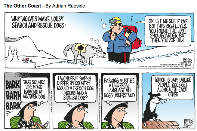 RAESIDE CARTOON | iNFOnews.ca