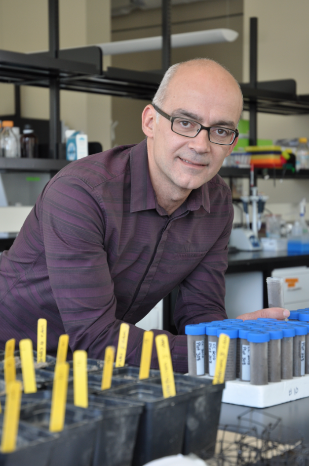UBC professor named a fellow of the Royal Society of Canada | iNFOnews.ca