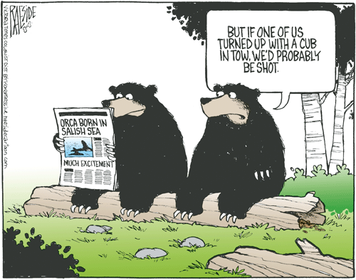 RAESIDE CARTOON | iNFOnews.ca