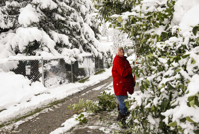 30,000 Calgary customers without power after second large snowfall of summer | iNFOnews.ca
