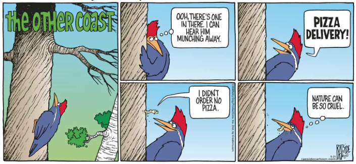 RAESIDE CARTOON | iNFOnews.ca