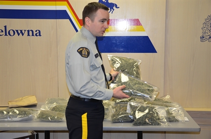 Grow-op network uncovered by RCMP Green Team | iNFOnews.ca