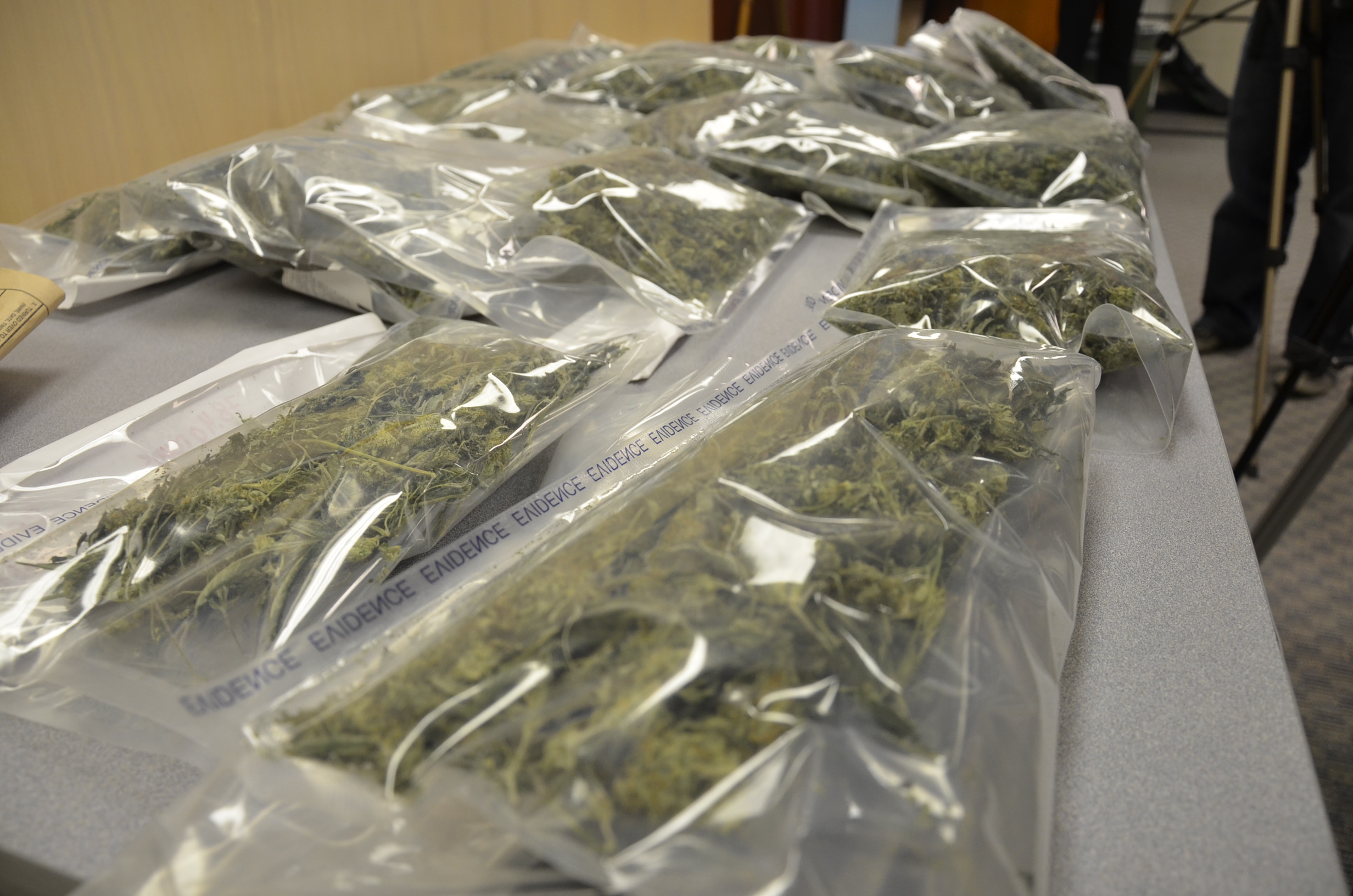 Grow-op network uncovered by RCMP Green Team | iNFOnews.ca