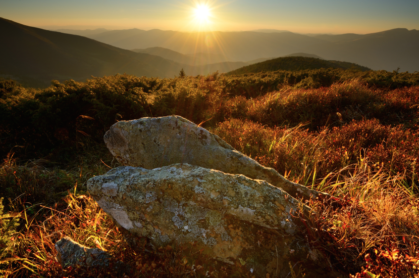 Expect sunny skies and highs in the 20s this weekend | iNFOnews.ca