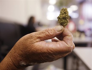 College of Family Physicians gives doctors advice on prescribing medical pot | iNFOnews.ca College of Family Physicians gives doctors advice on prescribing medical pot | iNFOnews.ca