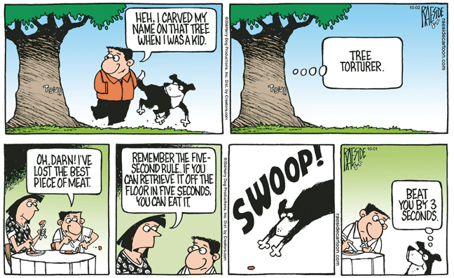 RAESIDE CARTOON | iNFOnews.ca