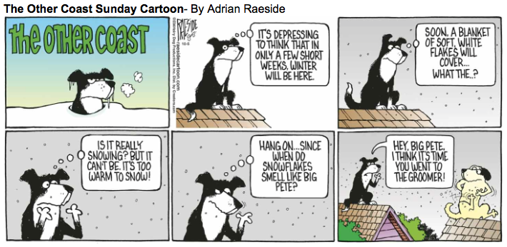 RAESIDE CARTOON | iNFOnews.ca