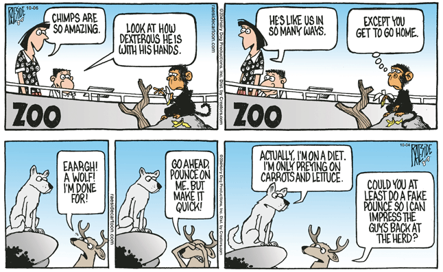 RAESIDE CARTOON | iNFOnews.ca