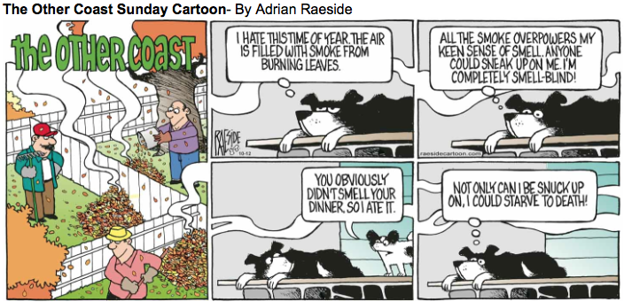 RAESIDE CARTOON | iNFOnews.ca